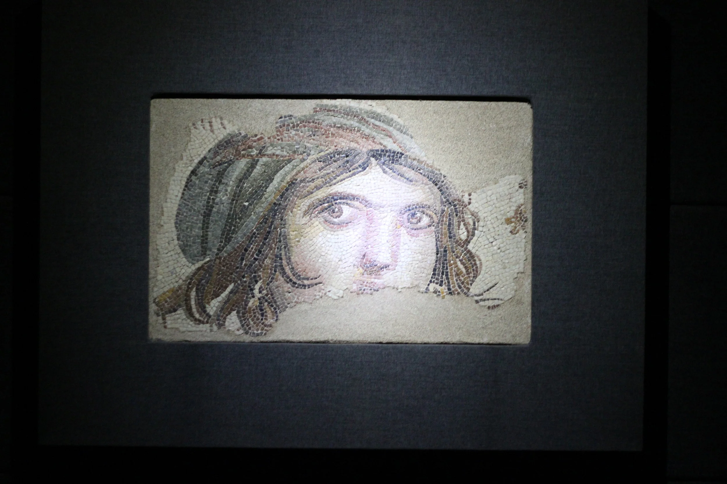 Zeugma Mosaic Museum, Gaziantep, Turkey — Grethershot: Morgan